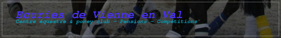 Ecuries de Vienne en Val